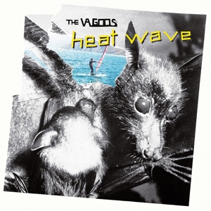 the Vagoos - Heat Wave