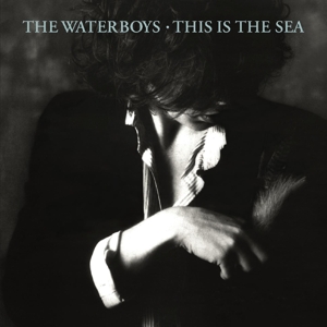 The Waterboys - This is the Sea