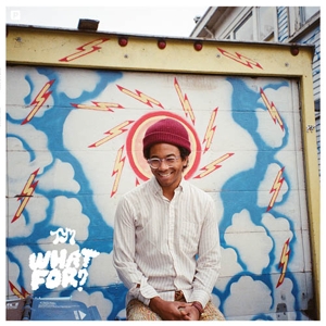 Toro Y Moi - What For