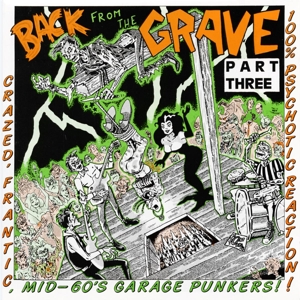 Various Artists - Back From the Grave 3