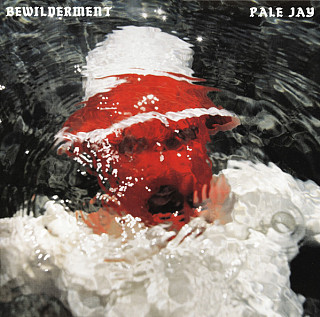 Pale Jay - Bewilderment