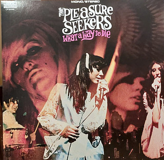 Pleasure Seekers - What a Way To Die