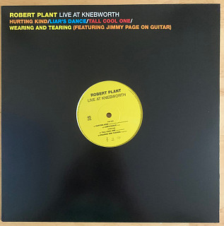 Robert Plant - Live At Knebwo