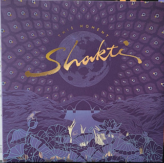 Shakti - This Moment