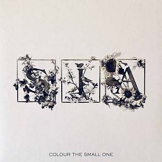 Sia - Colour the Small One