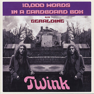 Twink - 10,000 Words In a Cardboard Box