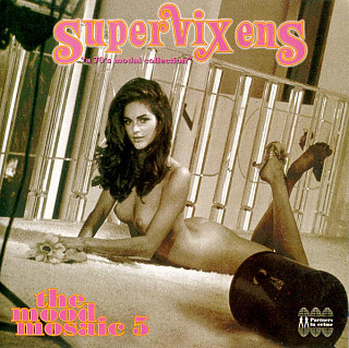 V/A - Mood Mosaic 5 Supervixens