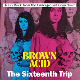 Various Artists - Brown Acid: the Sixteenth Trip